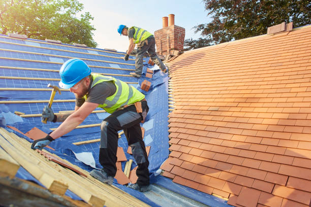 Best Roof Ventilation Installation  in Blossom, TX